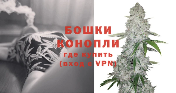 трава Армянск