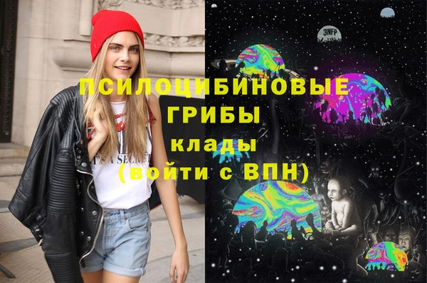 стафф Аркадак
