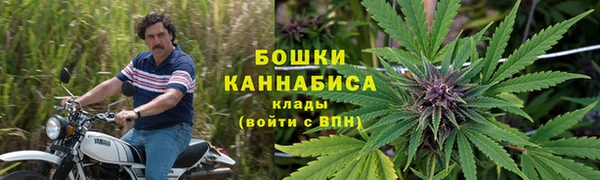 стафф Аркадак