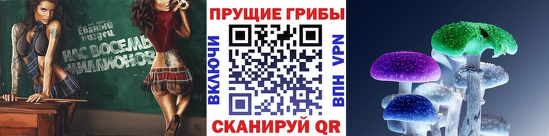 Псилоцибиновые грибы мицелий  Калтан 